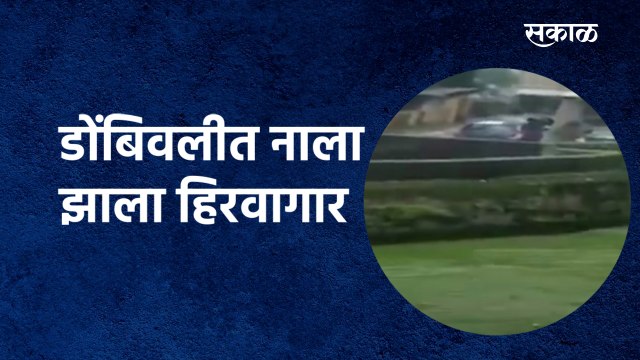 Dombivli Rain :डोंबिवलीत नाला झाला हिरवागार |Mumbai Rain|Sakal Media