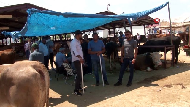 Kurban pazarının en büyükleri alıcısını buldu