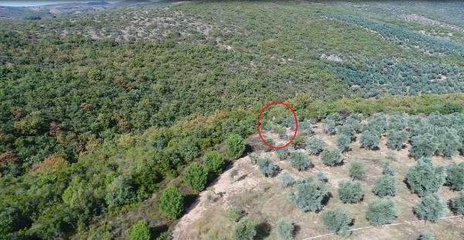 Kaçak avcılar dronla yakalandı