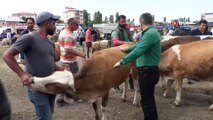 Kurban Pazarı’nda arefe günü yoğunluğu