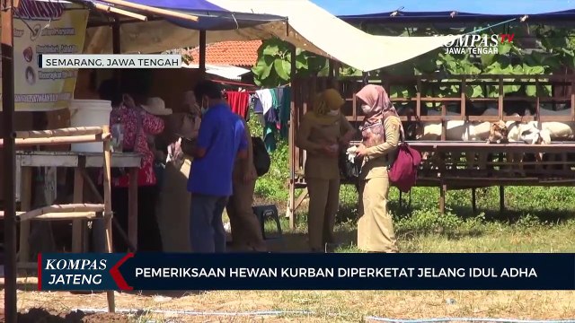 Pemeriksaan Hewan Kurban Diperketat Jelang Idul Adha