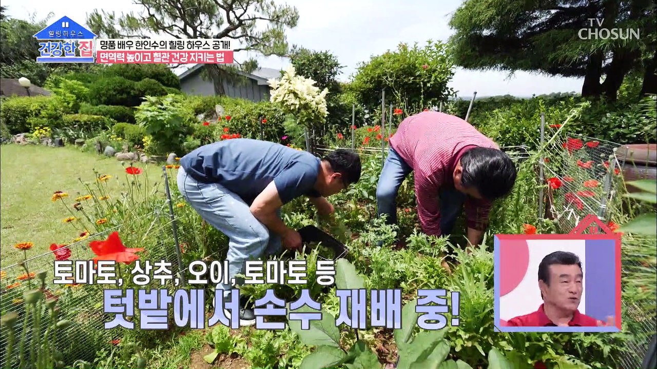 풍경과 맛에 취한다 입맛 돋우는 건강 밥상^^ TV CHOSUN 20210719 방송