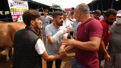 KURBANLIK PAZARLIĞI SIRASINDA KOLU ÇATLADI