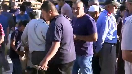 - Batı Şeria’da halk kurbanlık fiyatlarından şikayetçi