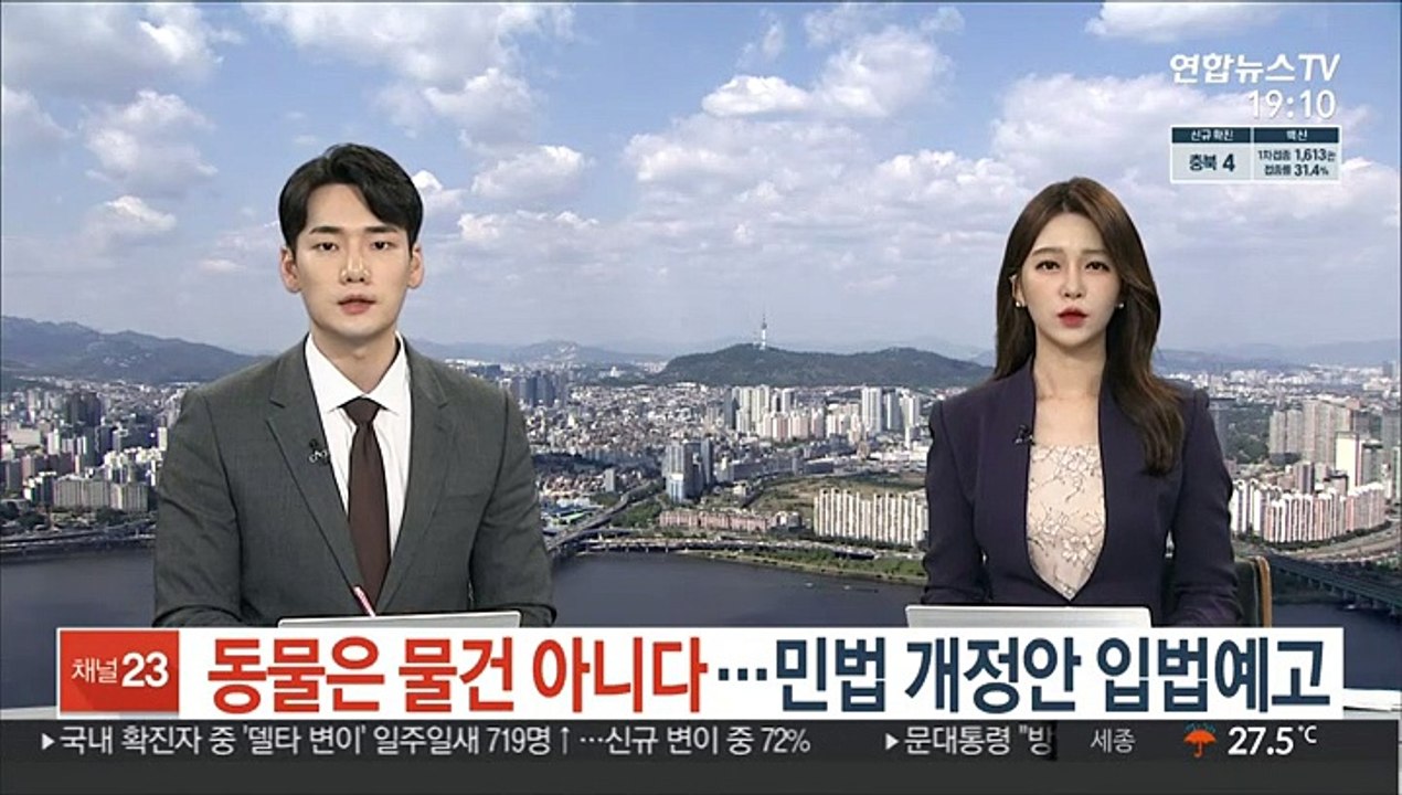 '동물은 물건 아니다' 민법 개정안 입법예고