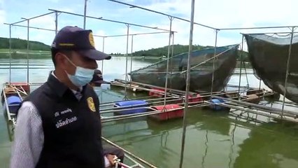 ประมงเตรียมรื้อกระชังปลาวันที่23กคและปรับผู้ฝ่าฝืนวันละ10000บาท
