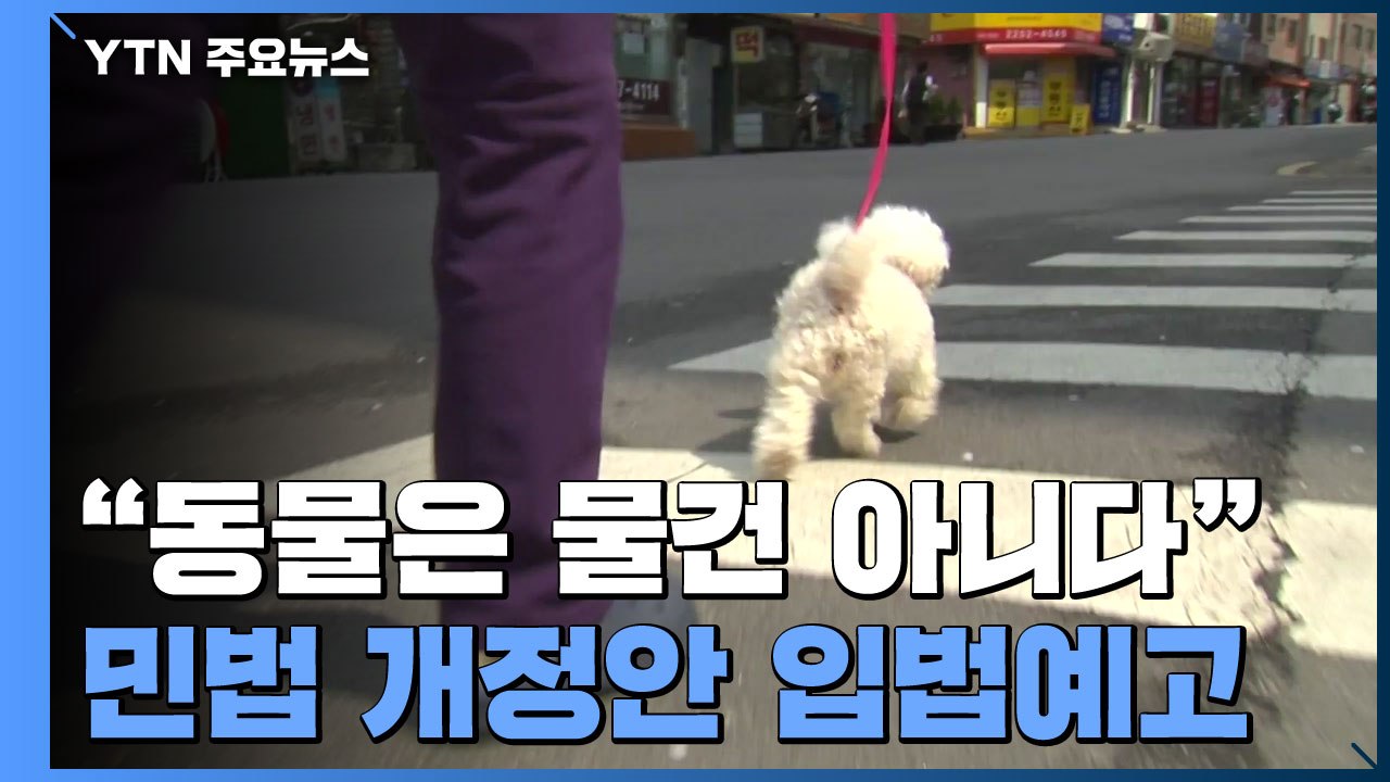 "동물은 물건 아니다"...민법 개정안 입법예고 / YTN