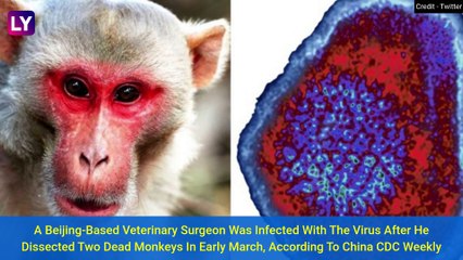Monkey B Virus: China Reports First Human Death; All You Need To Know