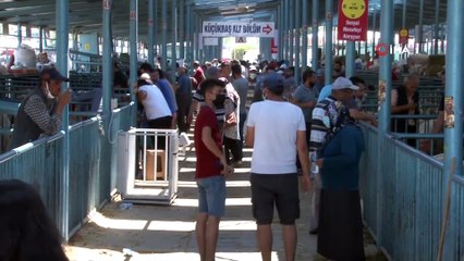 Kurbanlık son güne kalınca pazarda yoğunluk oluştu