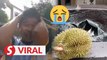 Man goes viral after putting up ‘special’ durian for sale for RM500, finds an unexpected buyer