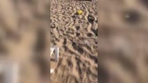 ÇANAKKALE - Bozcaada'da plajdaki şezlong ve şemsiyelere zarar veren kişilere cezai işlem uygulanacak