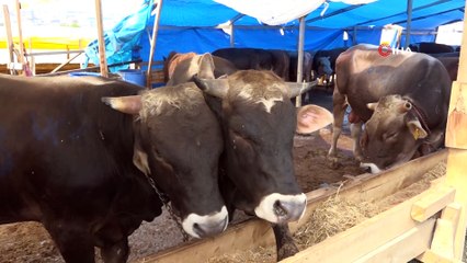 Esenyurt’ta Kurban Bayramı’nda tüm ekipler sahada