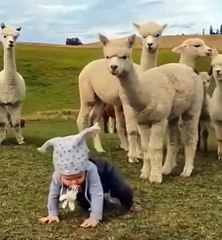 Beautiful telawate quran in beautiful nature