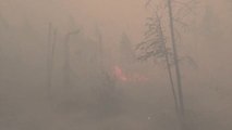 Los incendios forestares siguen devorando Rusia