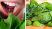Monsoon में भूलकर भी न खाएं हरी पत्तेदार सब्जियां, बन सकती हैं बीमारी का कारण । Boldsky