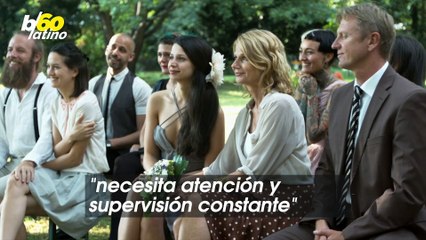 Anuncio de Craigslist Ofrece $1000 Dólares a Candidato Que Cite Problemática Suegra