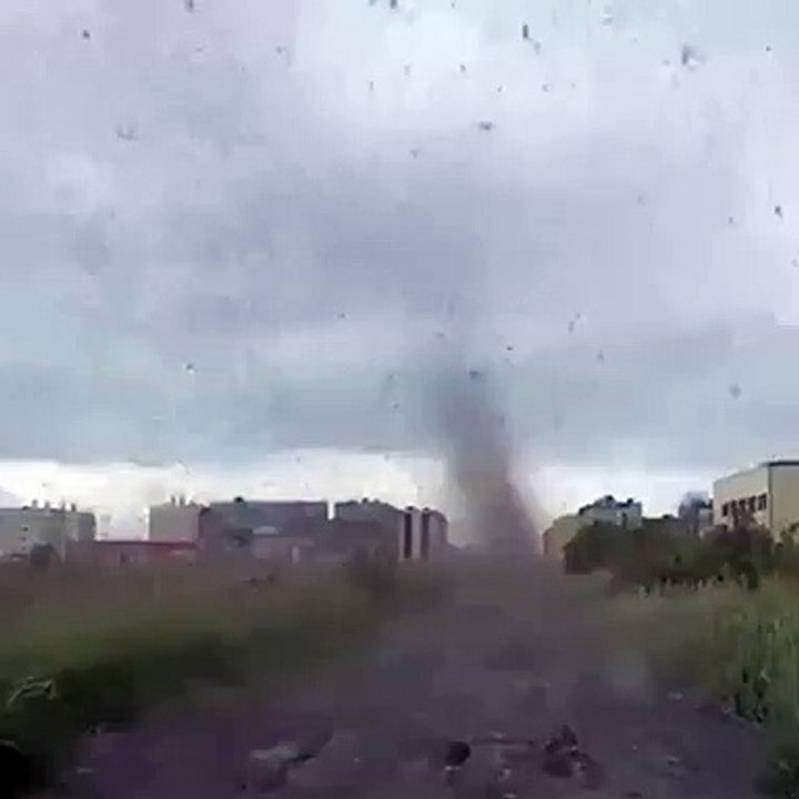 Tornado de Mosquitos en Kamchatka