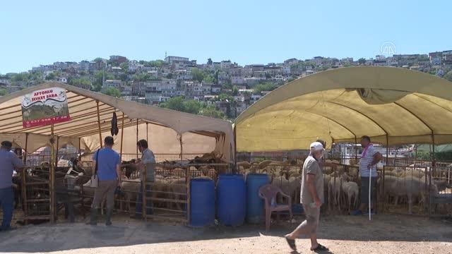 Kurban pazarlarında hareketlilik sürüyor