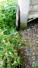 Lola's  Glon Grave Visit