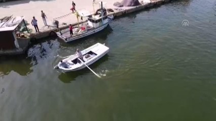 Denize kaçan boğa kayık yardımıyla yakalandı