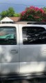 Dog Locked In Truck Fetches Keys From Ignition