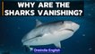 Bosnia and Herzegovina: Sharks and Rays | Know all | Oneindia News