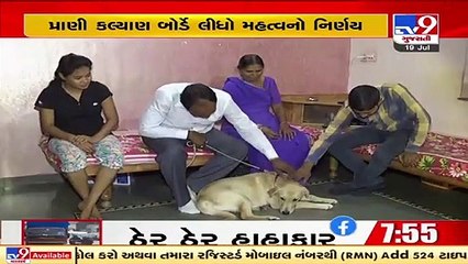 Registration to be mandatory for people linked to dog breeding, marketing, says animal welfare board