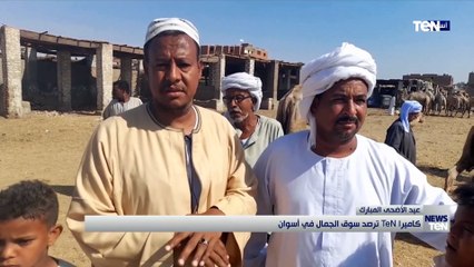 كاميرا "TeN"ترصد سوق الجمال فى أسوان بمناسبة عيد الأضحي المبارك
