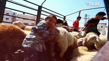 Kurban Bayramımız mübarek olsun