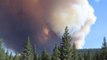 Tamarack Fire explodes to 21000 acres no containment Evacuations | Moon TV News