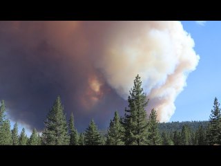 Tamarack Fire explodes to 21000 acres no containment Evacuations | Moon TV News