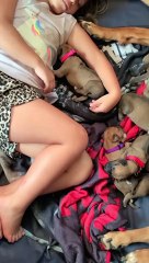 Girl Naps with Newborn Puppies
