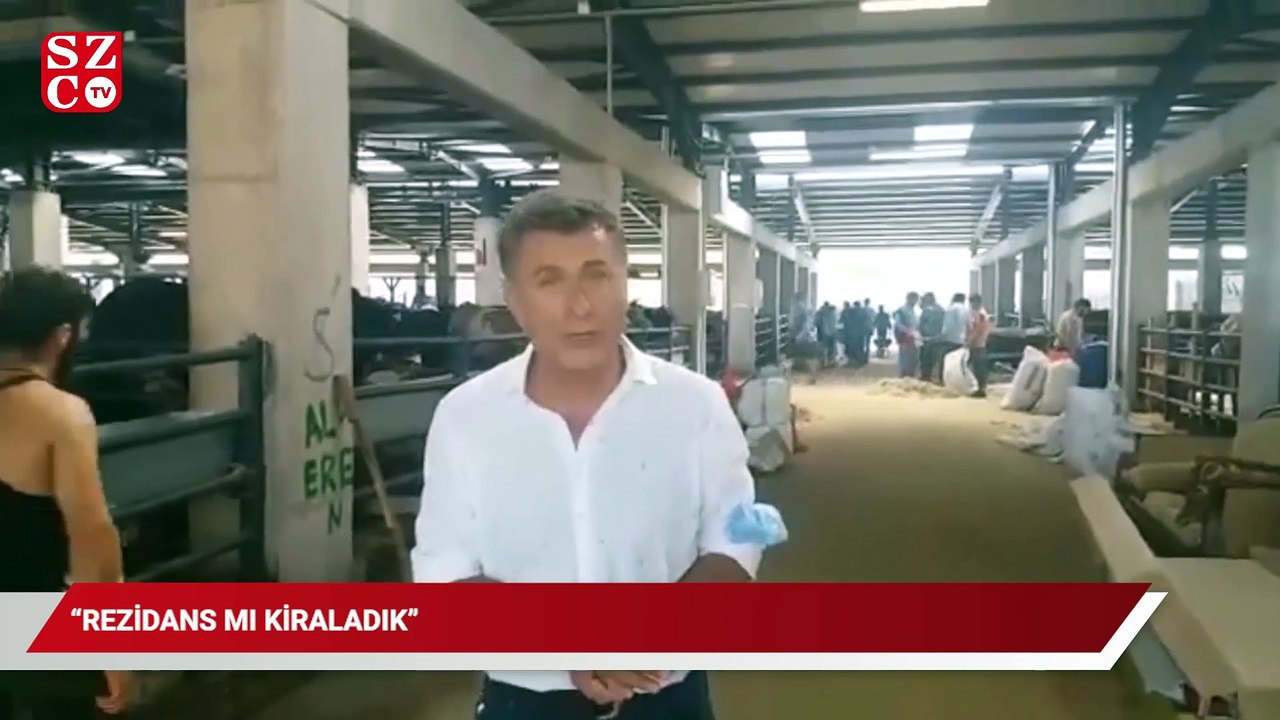 Kurban Pazarı'nda yer kiralayan yetiştirici, CHP'li vekile dert yandı: Rezidans mı kiraladık?