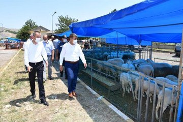 Marmara bölgesinde kara yollarında bayram yoğunluğu