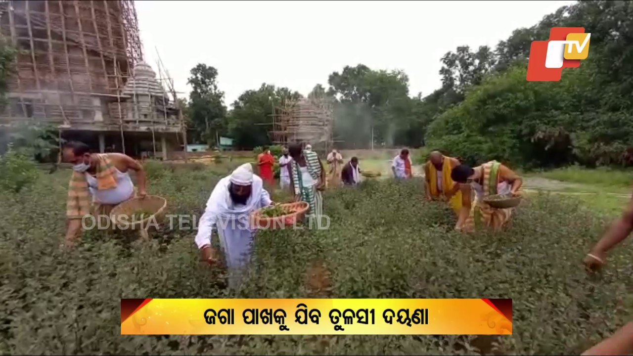 Garland Using Basil Leaves Prepared For Bahuda Jatra Of Holy Trinity