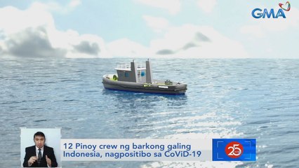 12 Pinoy crew ng barkong galing Indonesia, nagpositibo sa COVID-19 | Saksi