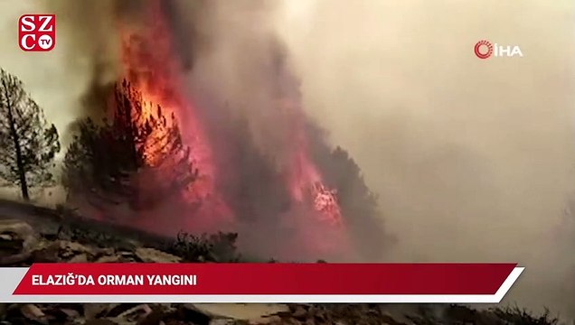 Elazığ’da orman yangını: Çok sayıda ekip sevk edildi