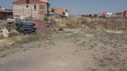 Son dakika haberleri! Kiraz tüfekle vurularak öldürüldü