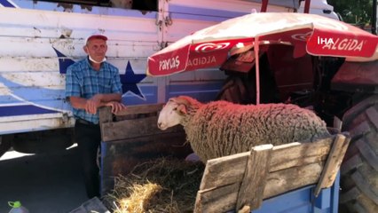 Hayvan pazarını pandemi vurdu, esnafın yüzü gülmedi
