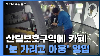 [제보는Y] 산림보호구역에 카페 만든 군청...민원에 황당한 대책 / YTN