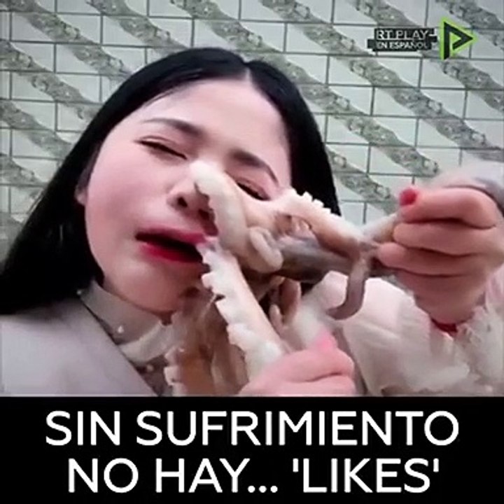 Elle a voulu jouer avec un poulpe... mais le poulpe n'est pas joueur