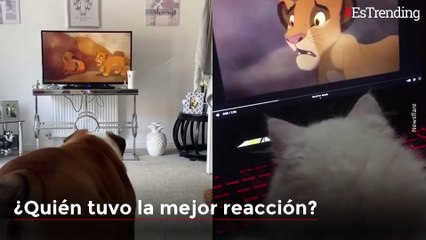 Gato y Perro ven la muerte de 'Mufasa' en 'El Rey León'... ¿Quién tuvo la mejor reacción?