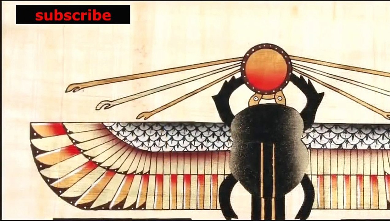 animais  vida  selvagem  natureza /  documentary wildlife animals nature  / animales fauna silvestre lnaturaleza.