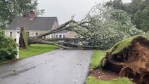 EF0 tornado rips trees from the ground in Connecticut