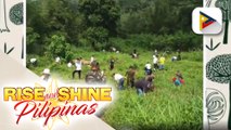 Tree planting activity sa Tanay, Rizal
