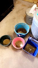 Owen Knows When it's Breakfast Time