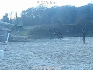 Le joyau d'Or (février 2008)