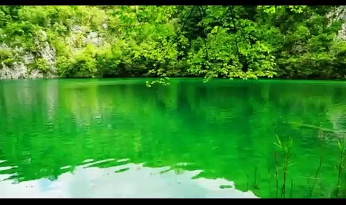 Crystal Clear Bodhi, voice of GOD that cleanses the soul and calms the heart