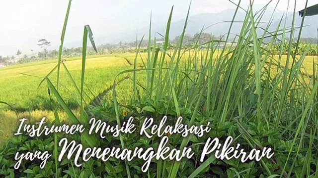 #49 Instrumen Musik Relaksasi yang Menenangkan Pikiran