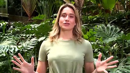 [HD] Se Joga - Aviso de não exibição - Globo [05/06/2021]